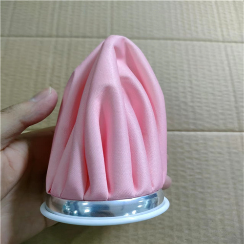 Polyester Taffeta fabric + PVC coating ice bag