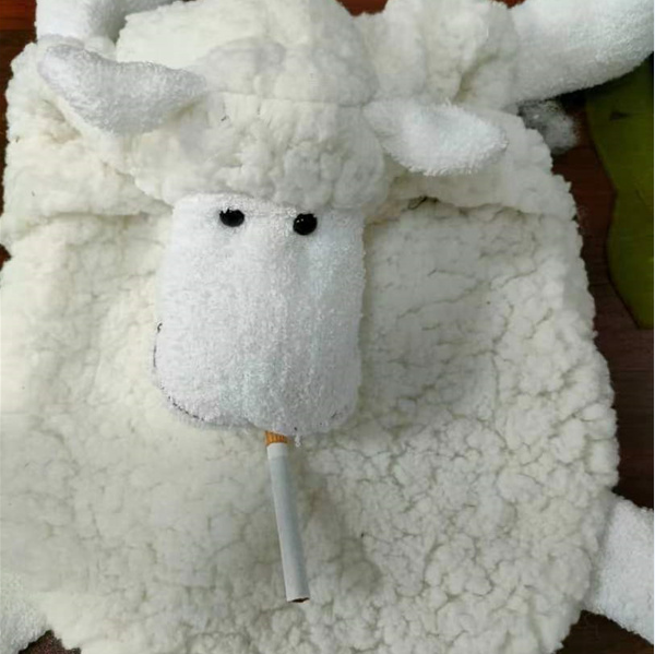 Plush toy structure heatable packs