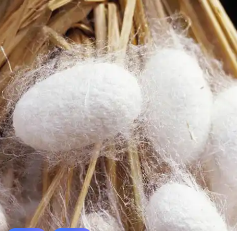 天然纤维粒子包缺陷