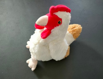微波加热毛绒玩具